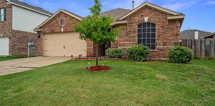 2028 Gardenia Dr, Forney