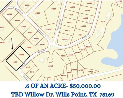 TBD Willow Dr, Wills Point