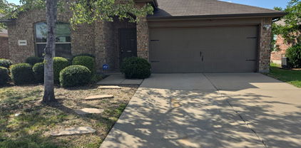 2005 Zavala, Forney