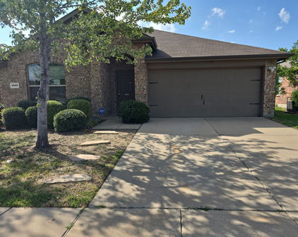 2005 Zavala, Forney
