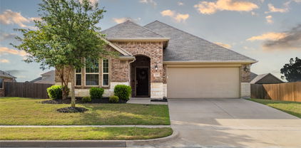 115 Caddo Lake Ct, Forney