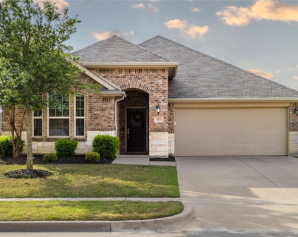 115 Caddo Lake Ct, Forney