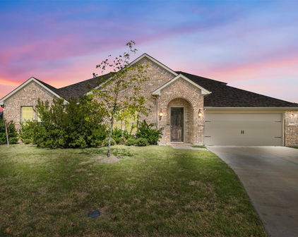 1001 Blue Heron Ct, Forney