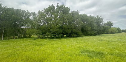 TBD Channing Ln, Wills Point