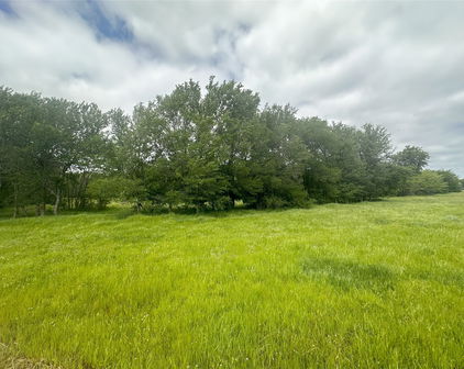 TBD Channing Ln, Wills Point