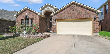 1616 Santa Anita Blvd, Irving