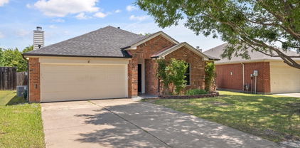 1132 Singletree Dr, Forney