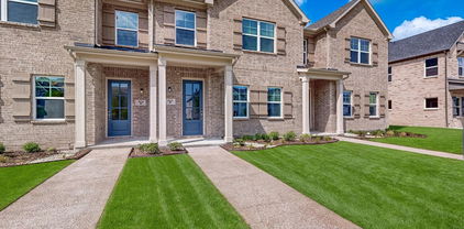 1820 Summer Aura, Mesquite