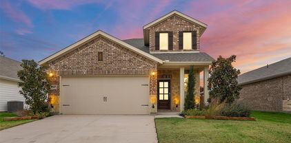 1347 Cress Garden Ln, Forney