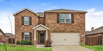1012 Rio Frio Dr, Forney