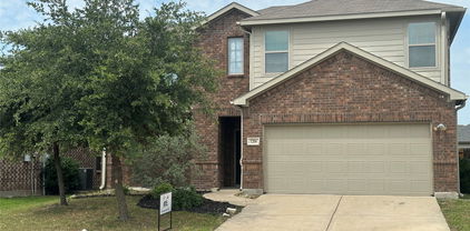 1206 Erika, Forney