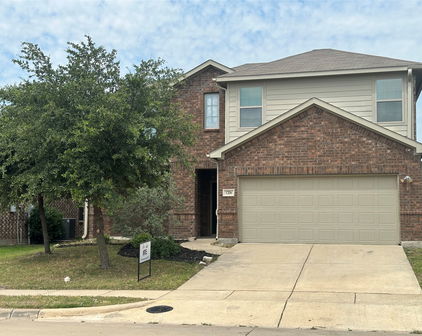 1206 Erika, Forney