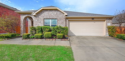 4105 Indian Paintbrush Ln, Forney