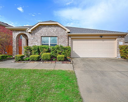 4105 Indian Paintbrush Ln, Forney