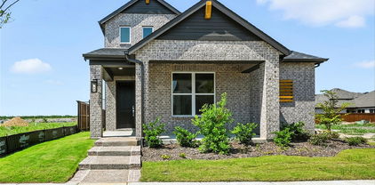 9312 Persimmon, Mesquite