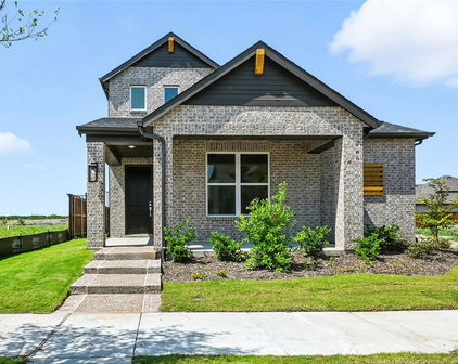9312 Persimmon, Mesquite