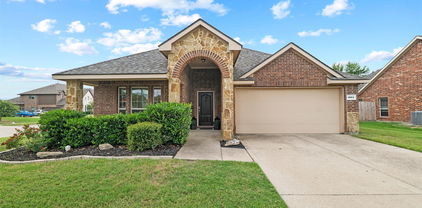 1054 Dancing Waters Ave, Forney