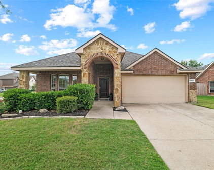 1054 Dancing Waters Ave, Forney