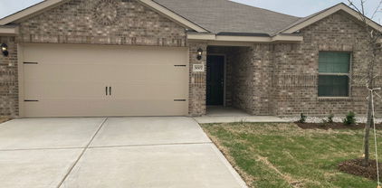 3007 Boran Dr, Forney