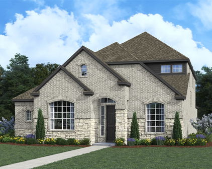 9332 Crimson Sweet, Mesquite