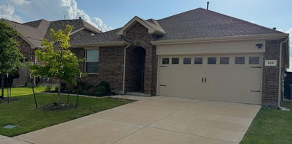 828 Grapefruit Ct, Forney