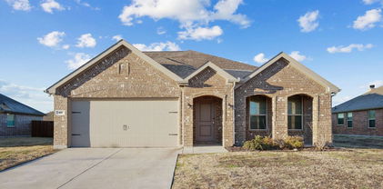 107 Mesa Verde Ct, Forney