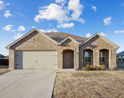 107 Mesa Verde Ct, Forney