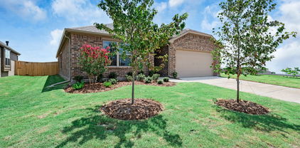 3808 Arrowchop, Caddo Mills