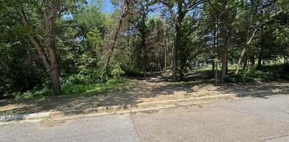 3 Robin, Cedar Hill