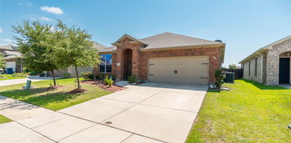 1219 Mount Olive Ln, Forney