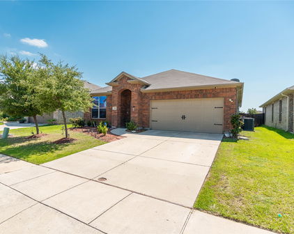 1219 Mount Olive Ln, Forney