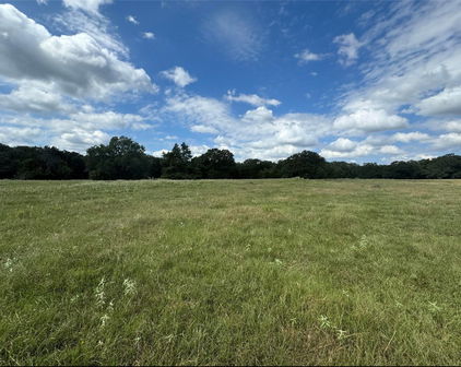 TBD Private Rd, Quinlan