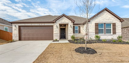3721 Blooming Prairie Dr, Crandall