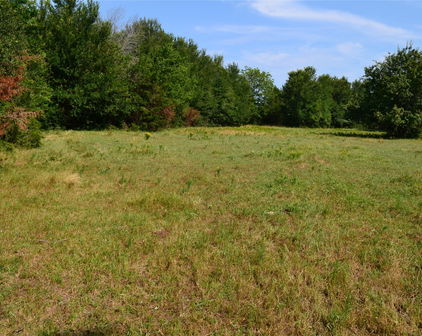 TRACT 2 TBD County Road 2244 Road, Quinlan