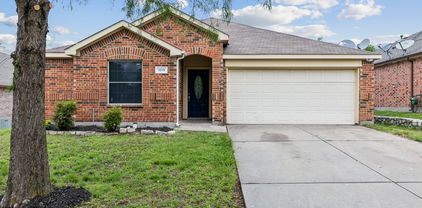 1019 Chelsea Ln, Forney