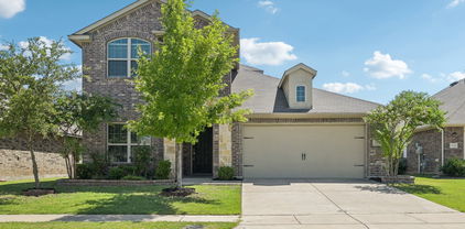 2321 Mount Olive Ln, Forney