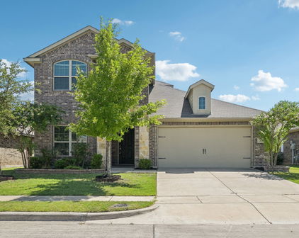2321 Mount Olive Ln, Forney