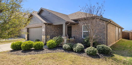 1207 Mount Olive Ln, Forney