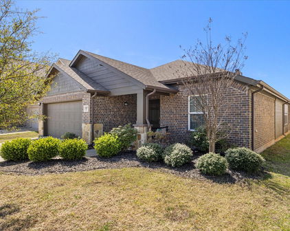 1207 Mount Olive Ln, Forney