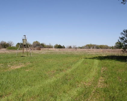 2432 Vz Cr 2432, Canton