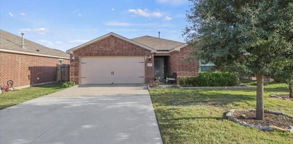 2116 Foxglove Ct, Forney