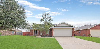 149 Brushy Creek Ln, Terrell