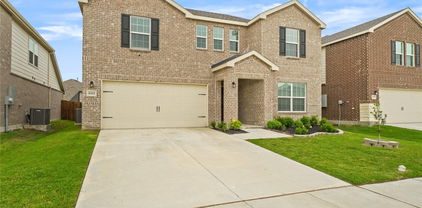 1065 Castroville Dr, Forney