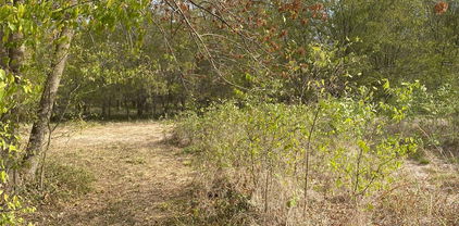 1262 Private Rd, Quinlan