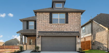 2109 Hazel Lily, Mesquite