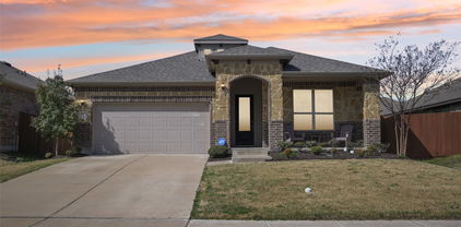 4111 Kettlewood Ct, Forney