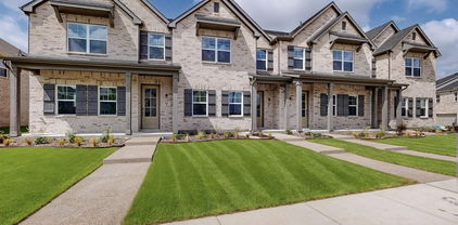 1808 Summer Aura, Mesquite