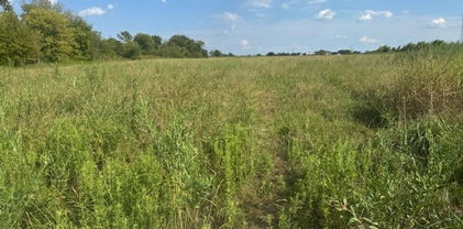 240 Vz County Road 3423, Wills Point
