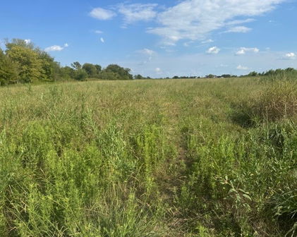 240 Vz County Road 3423, Wills Point