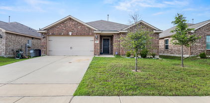 4308 Cat Tail Way, Forney